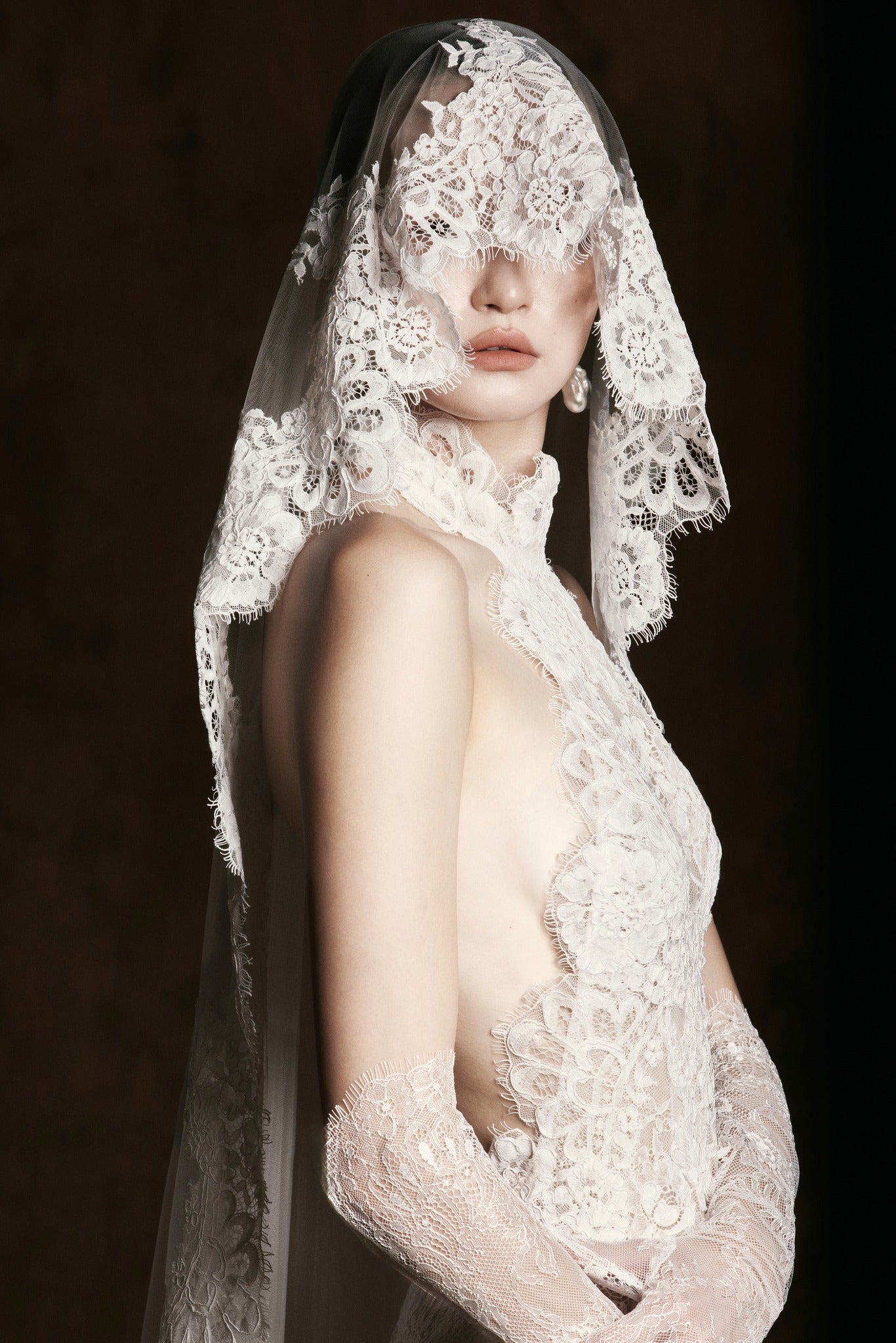 Swan Lace Veil