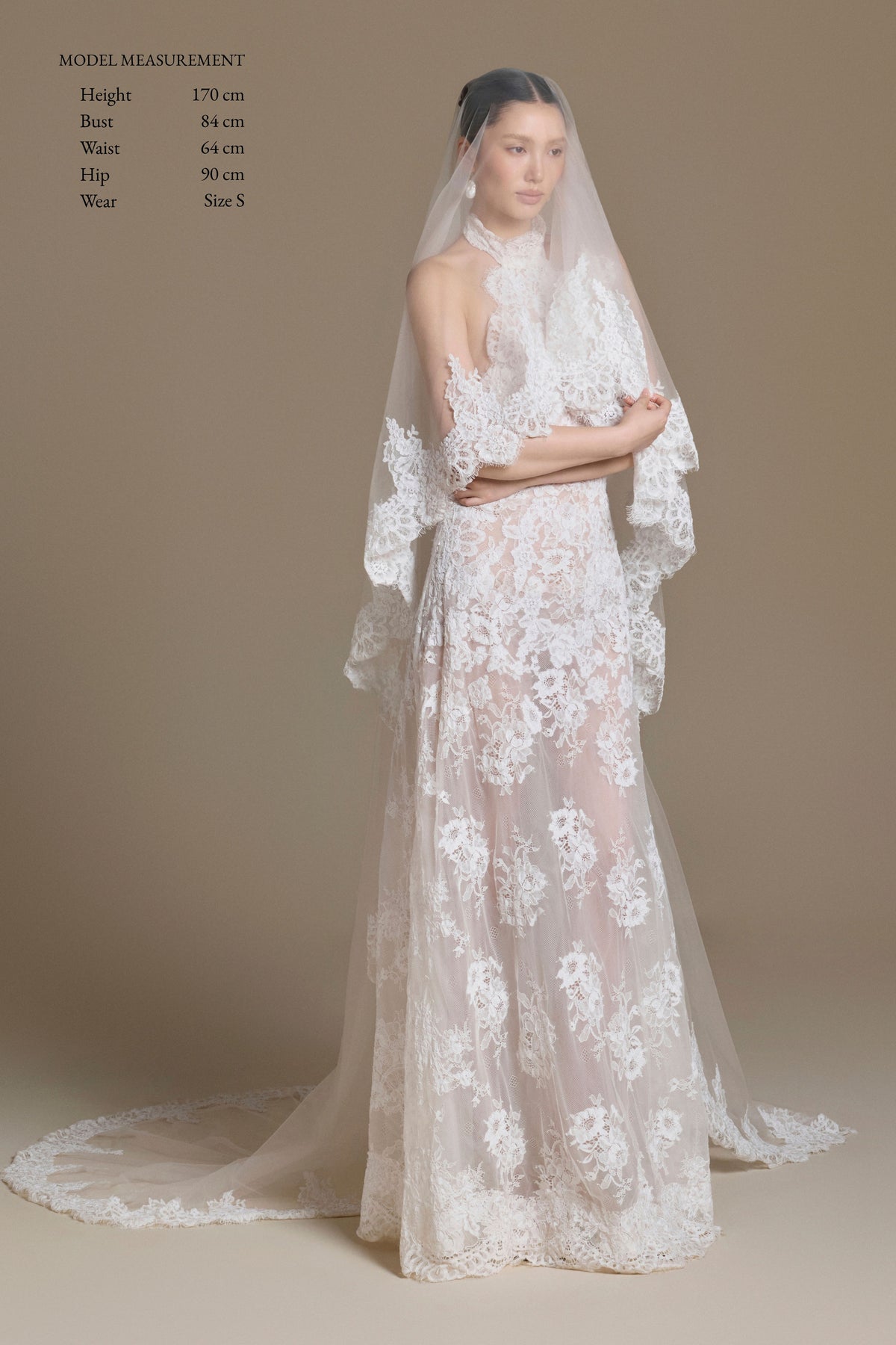 Swan Lace Veil