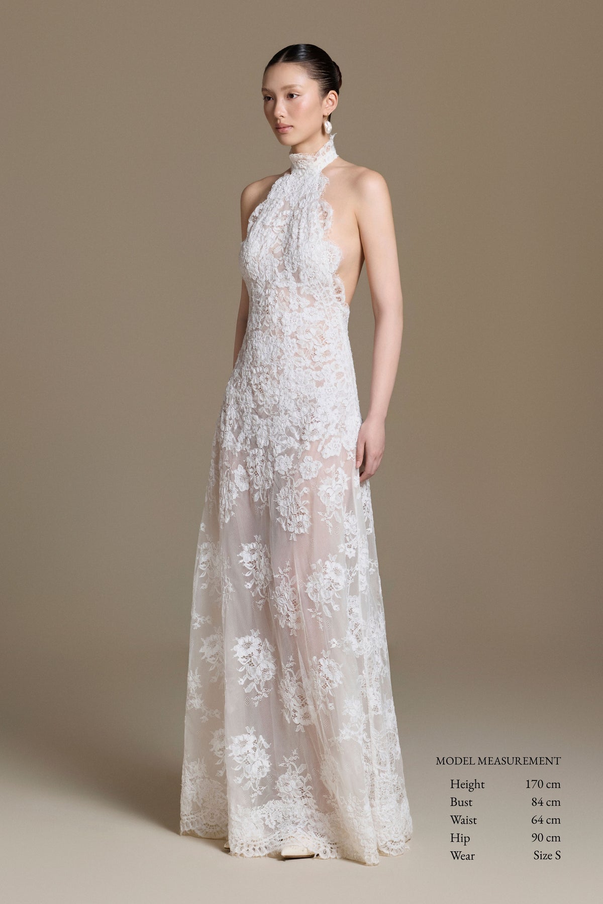 Swan Lace Dress