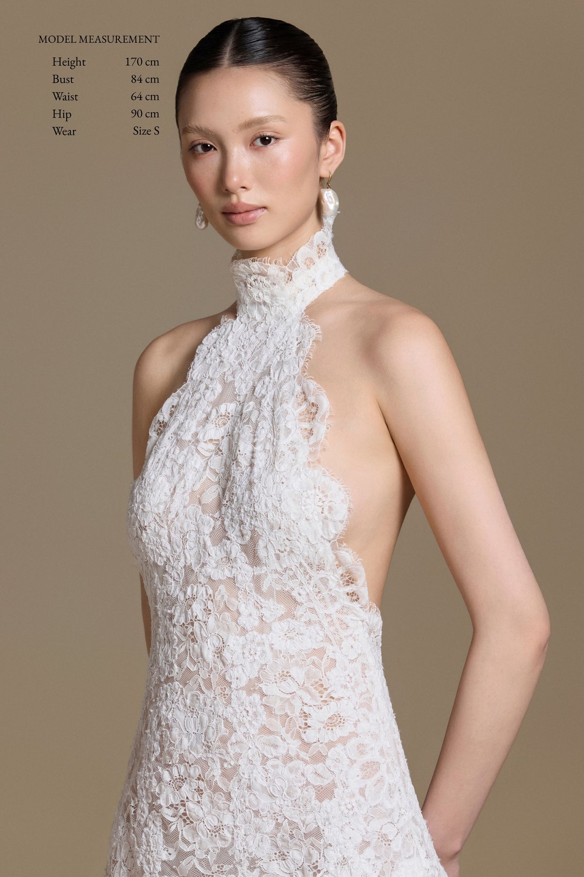 Swan Lace Dress
