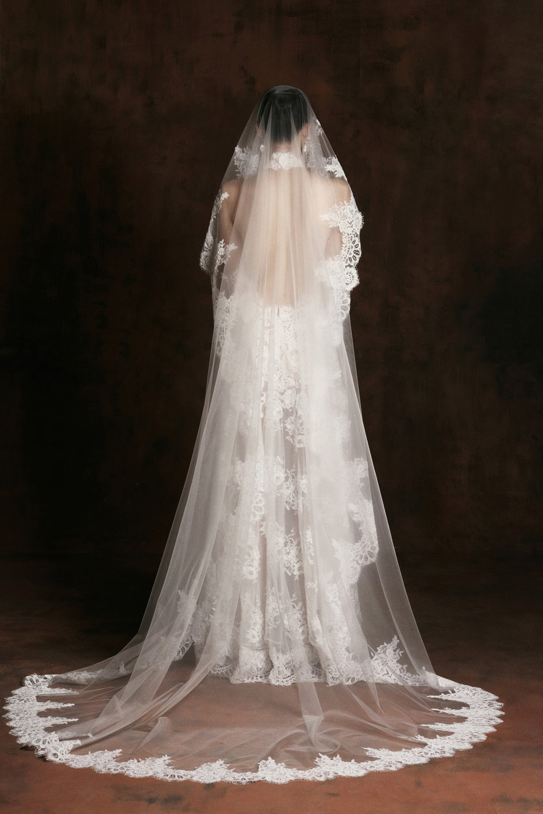 Swan Lace Veil